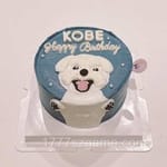 Avatar of Usman Rafiq